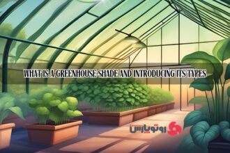 Greenhouse Shade Types: A Comprehensive Guide for Optimal Plant Growth