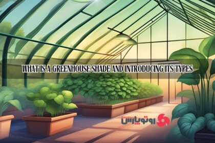 Greenhouse Shade Types: A Comprehensive Guide for Optimal Plant Growth